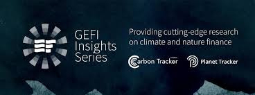 GEFI Insights Series